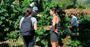 Servicio de Lancha para Visitar Fincas de café en Lago Atitlán Guatemala